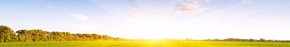 Front Banner