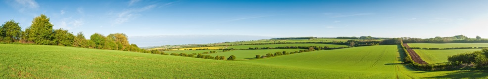 Front Banner